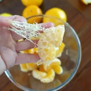 mandarin pith