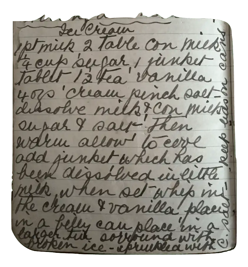 ice cream with junket recipe