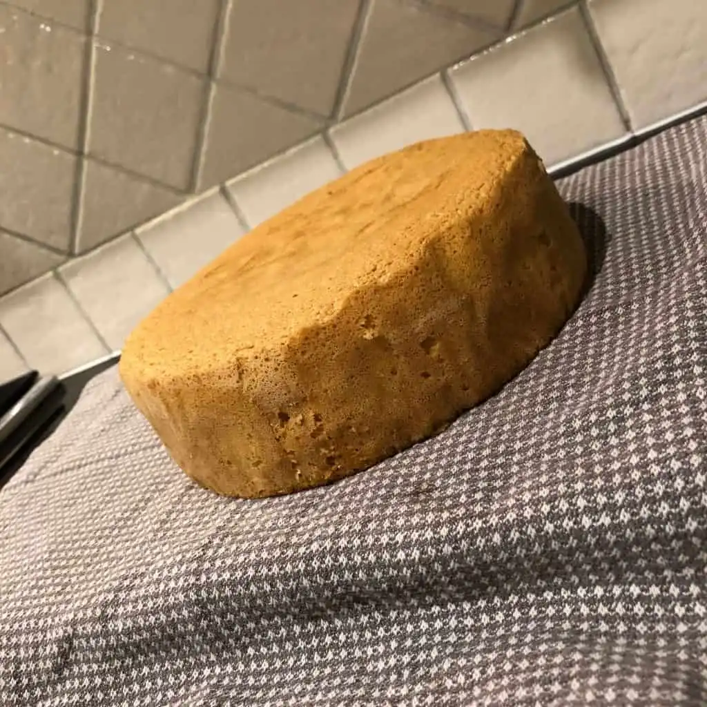 sponge cake cooked