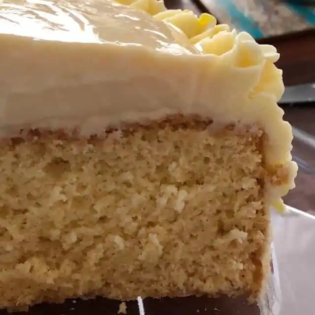 sponge cake cut