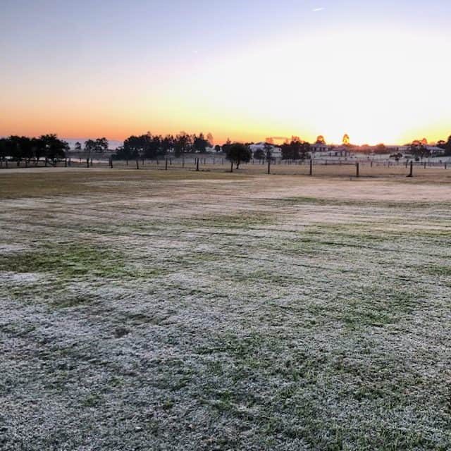 frost morning