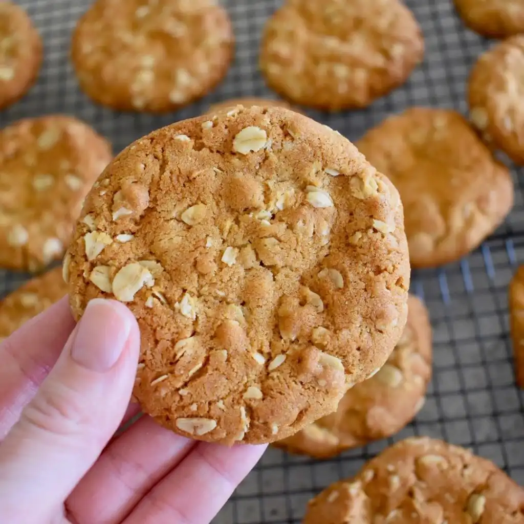 anzac biscuit close up