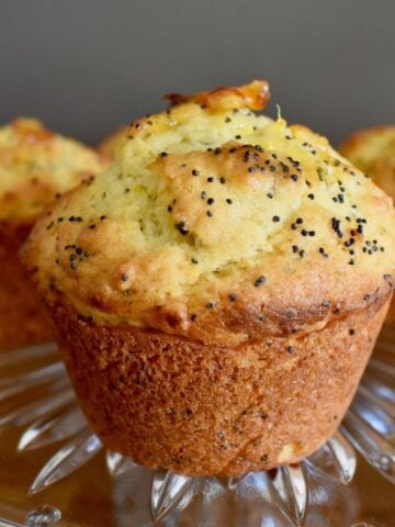 orange and poppy seed muffin