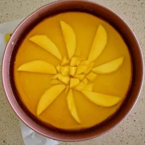 mango cheesecake in tin with jelly