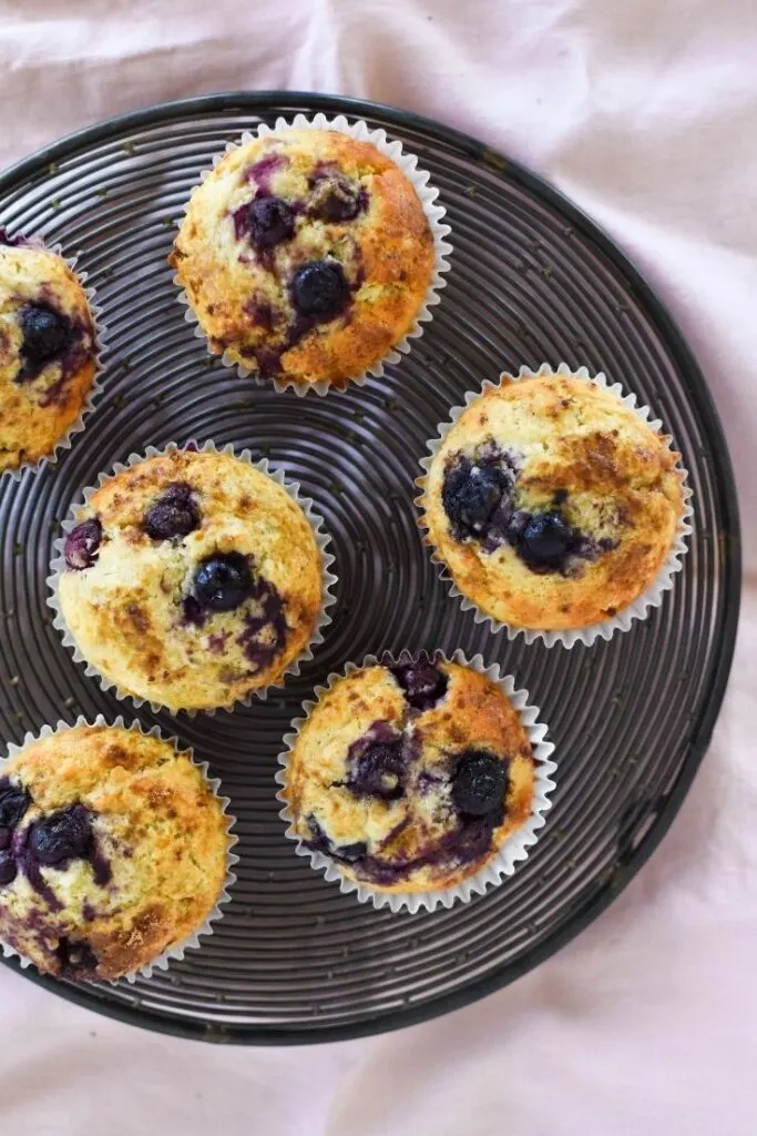 blueberry muffins tray