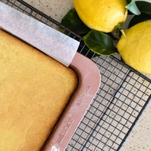 lemon slice biscuit base