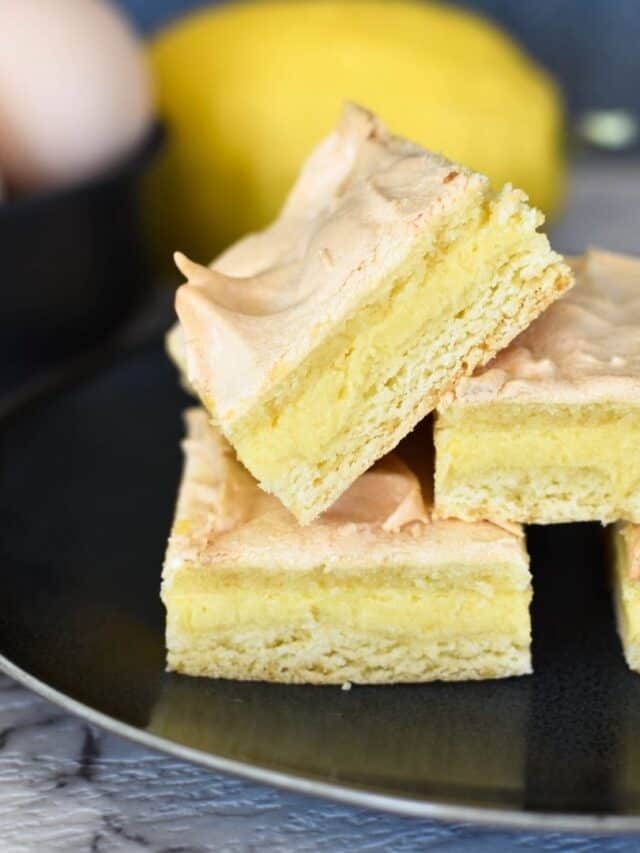 Slice Recipes (Easy Australian Baked & No-Bake Slices)