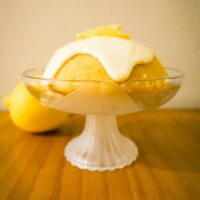 canary pudding 2
