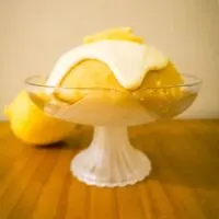canary pudding 2
