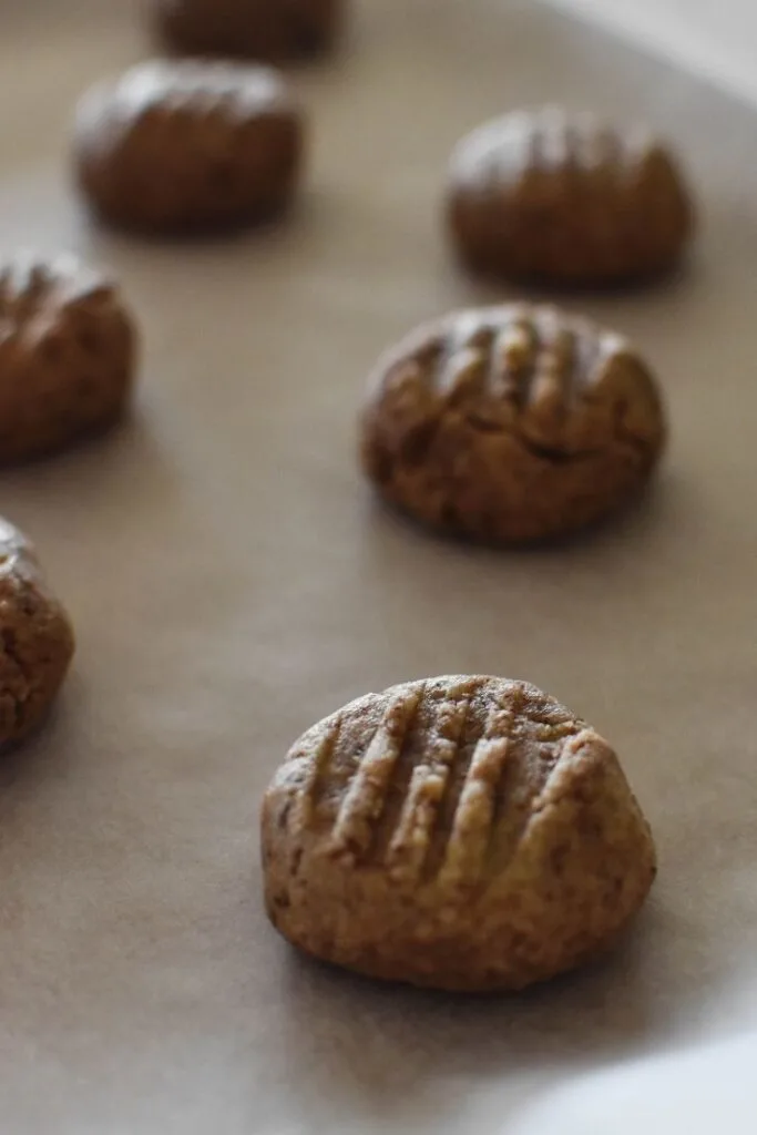 making milo biscuits
