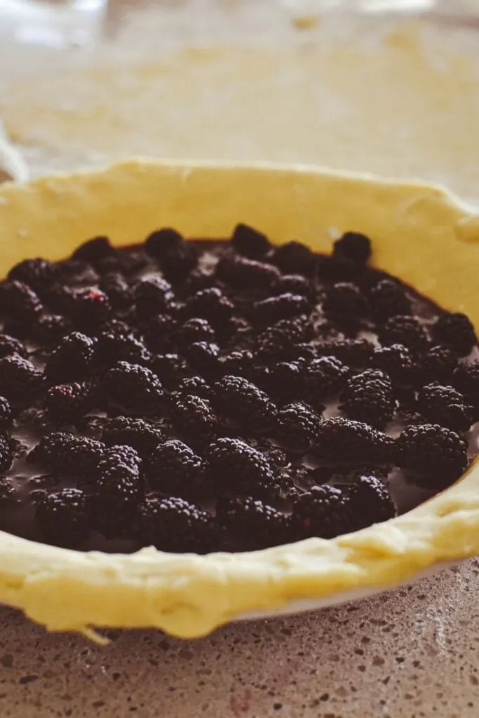 making mulberry pie 1