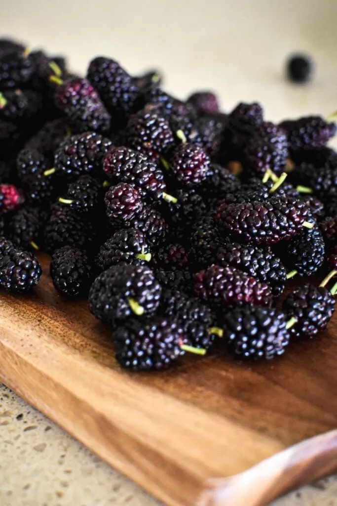 mulberries