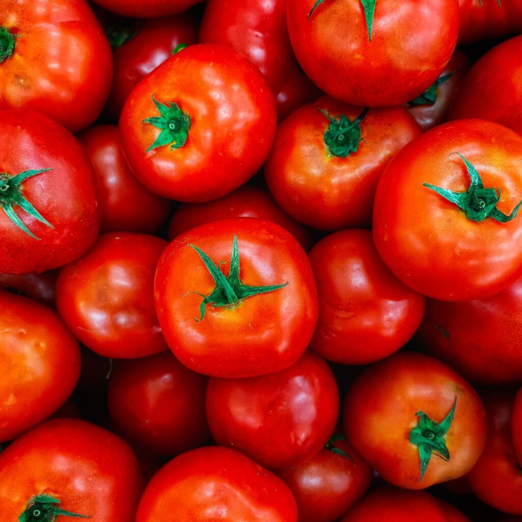 excess tomatoes