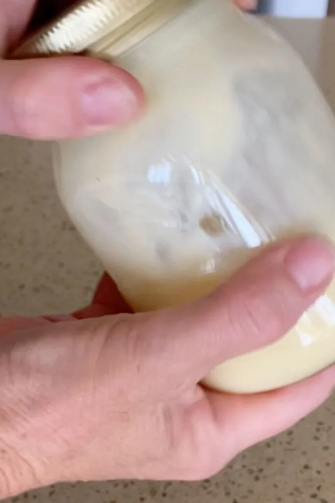 making condensed milk mayonnaise