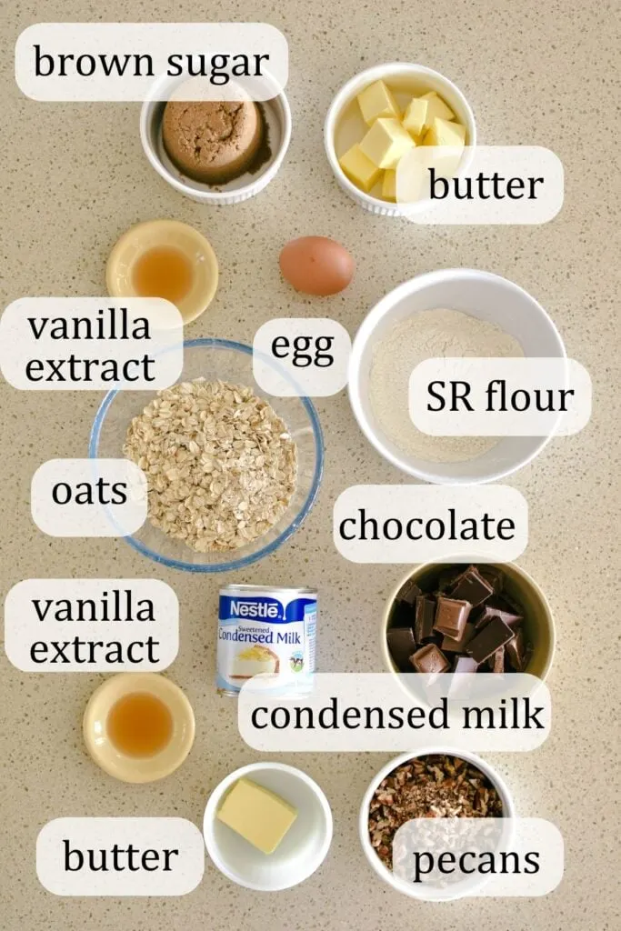 chocolate oat slice ingredients