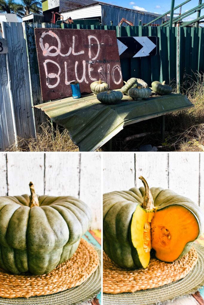 pumpkin for pumpkin scones.