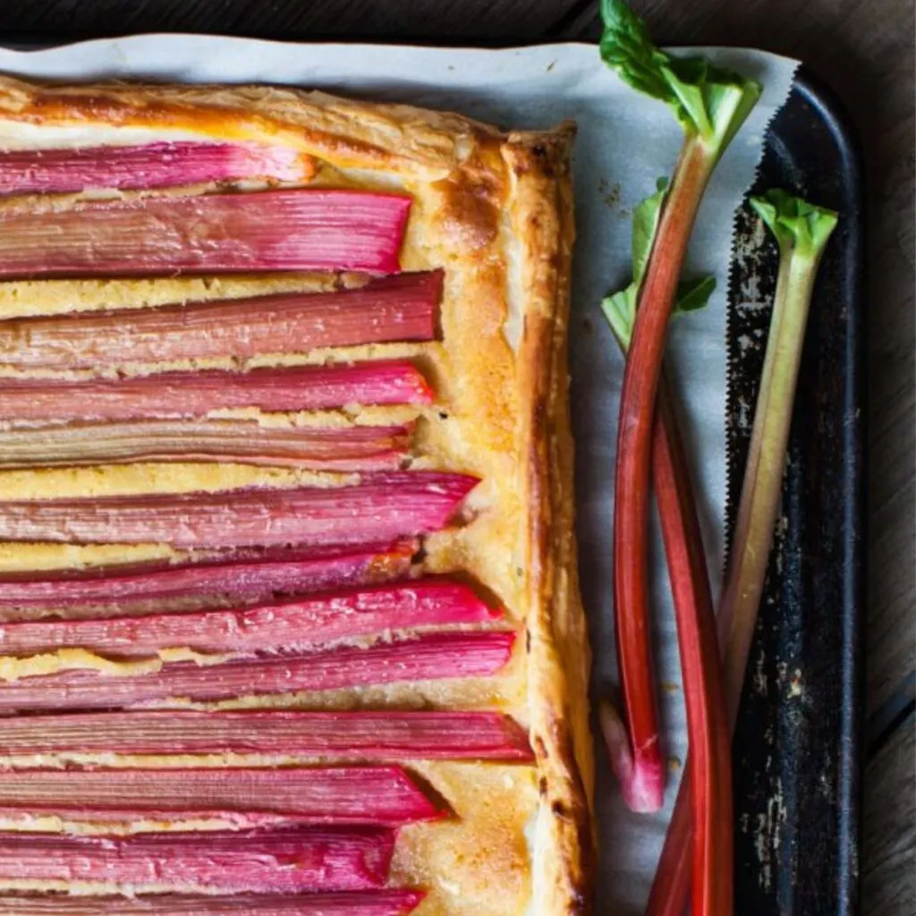 rhubarb galette