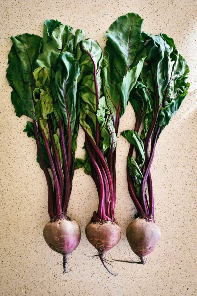 fresh beetroot for pickles.