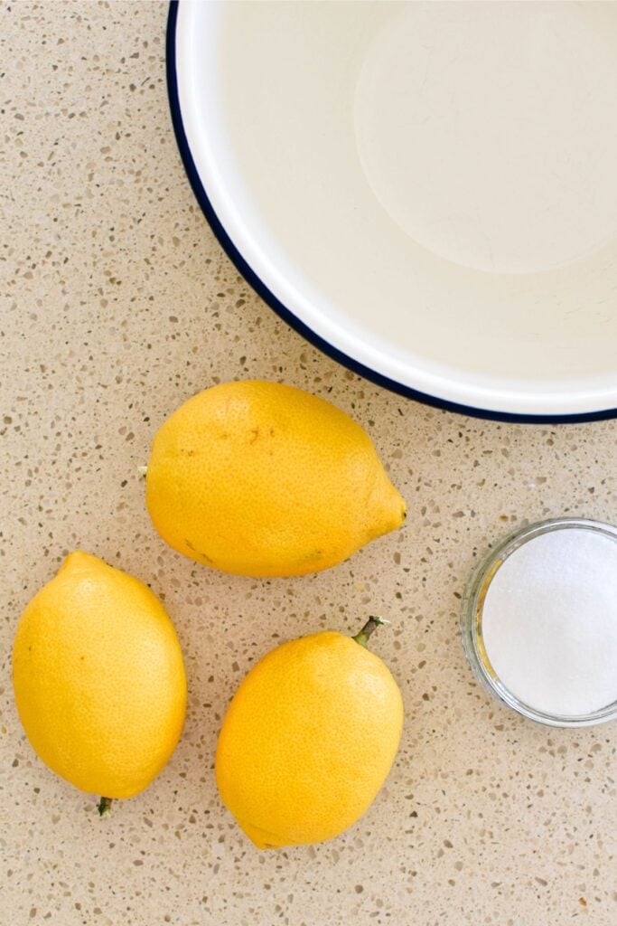 ingredients for homemade lemonade.