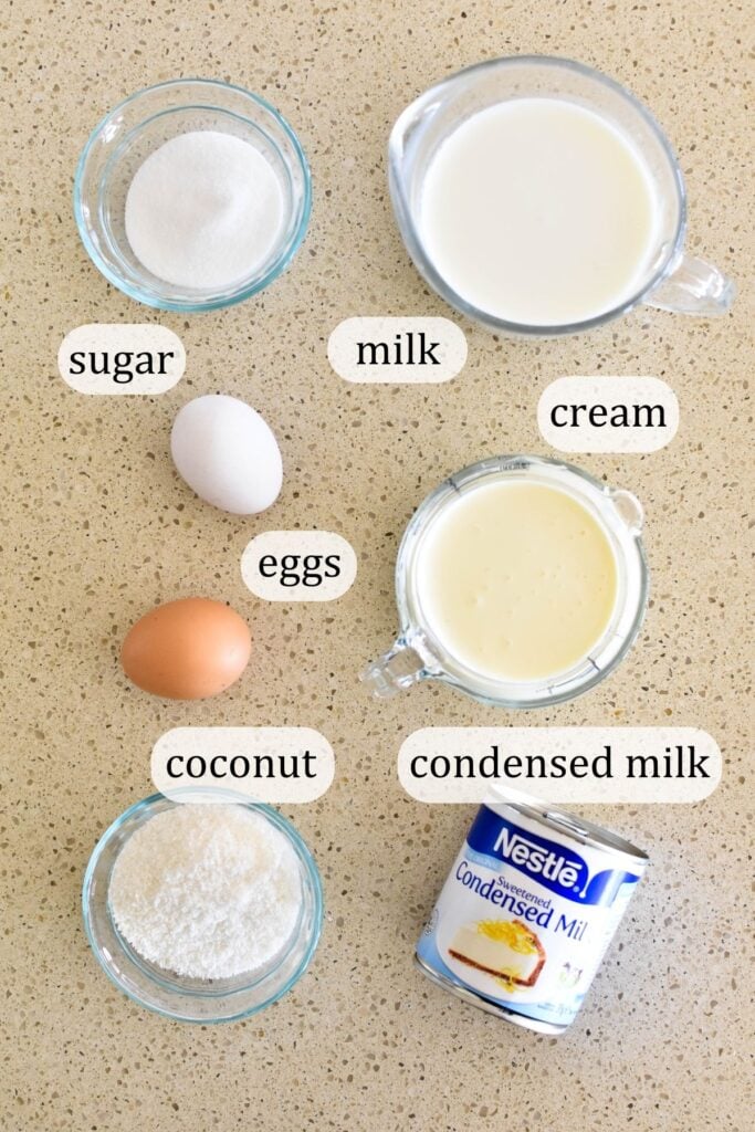 ingredients coconut custard