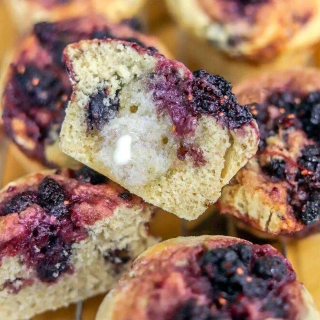 mulberry muffins
