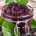 mulberries for mulberry recipes.