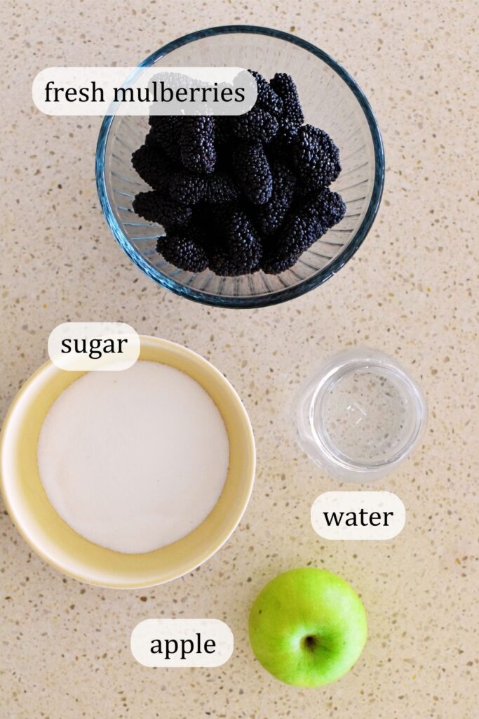 mulberry jam ingredients.