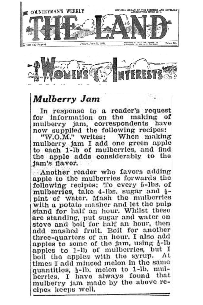 mulberry jam recipe.