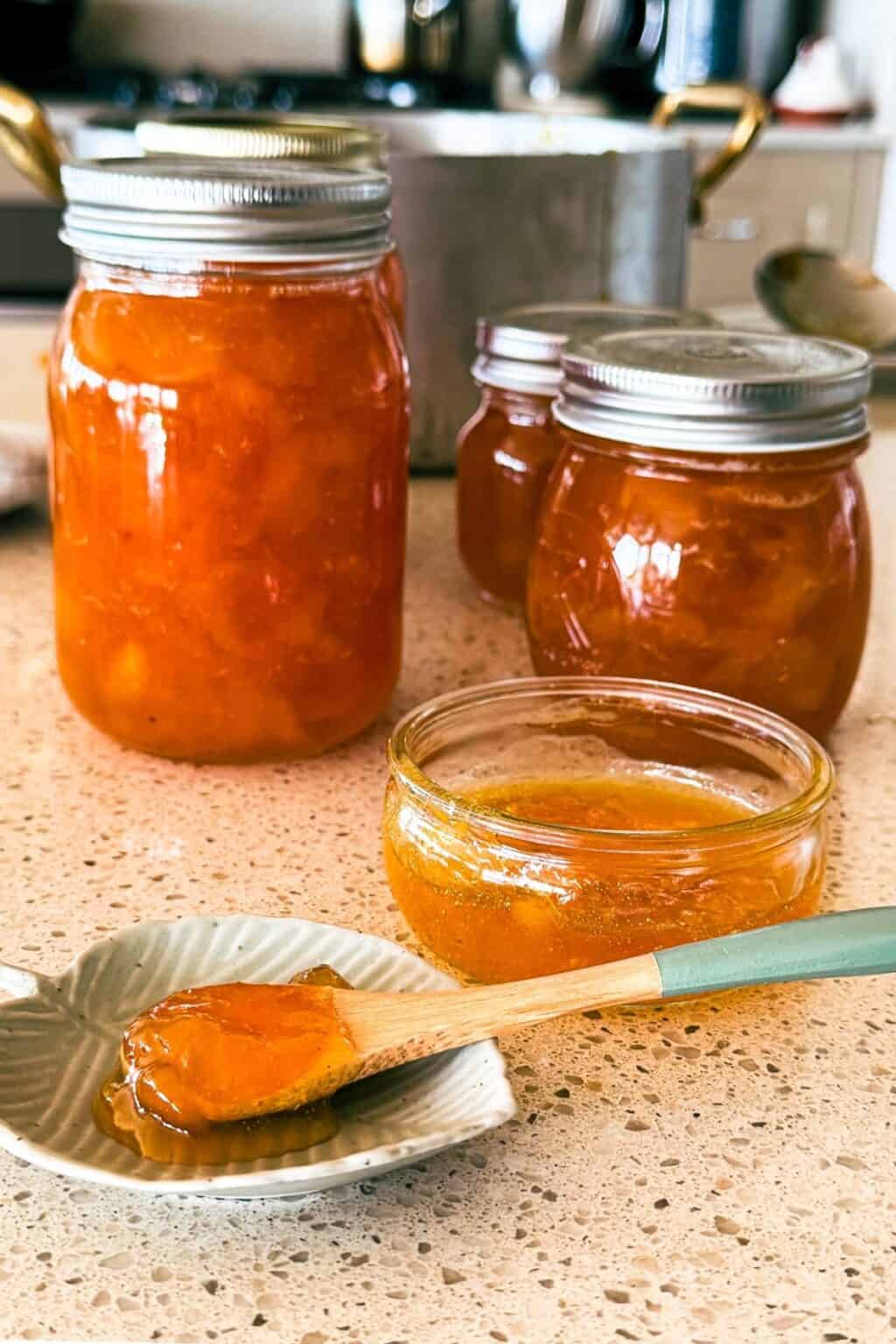 apricot-jam-cooking-with-nana-ling