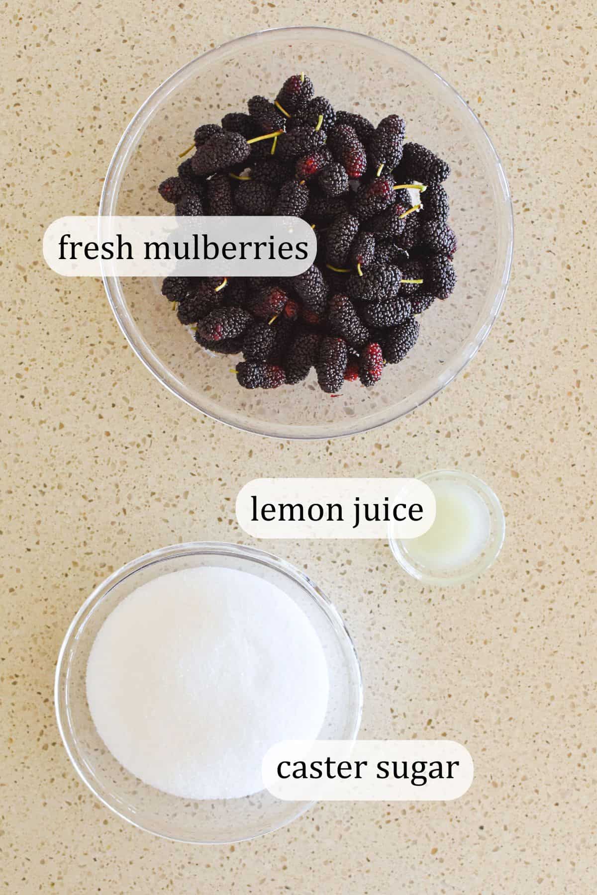 Ingredients for mulberry syrup.