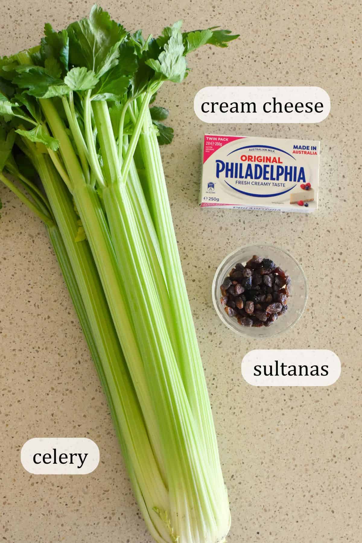 Ingredients for Ants on a Log.