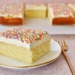 Dot Cake Slice serving on dessert plate.