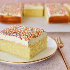 Dot Cake Slice serving on dessert plate.