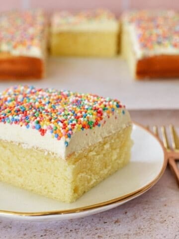 Dot Cake Slice serving on dessert plate.